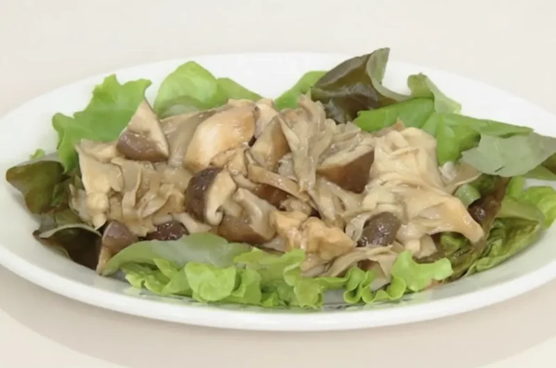 【きょうの料理】きのことチキンのマリネのレシピ 堀江ひろ子さんきのこスペシャル