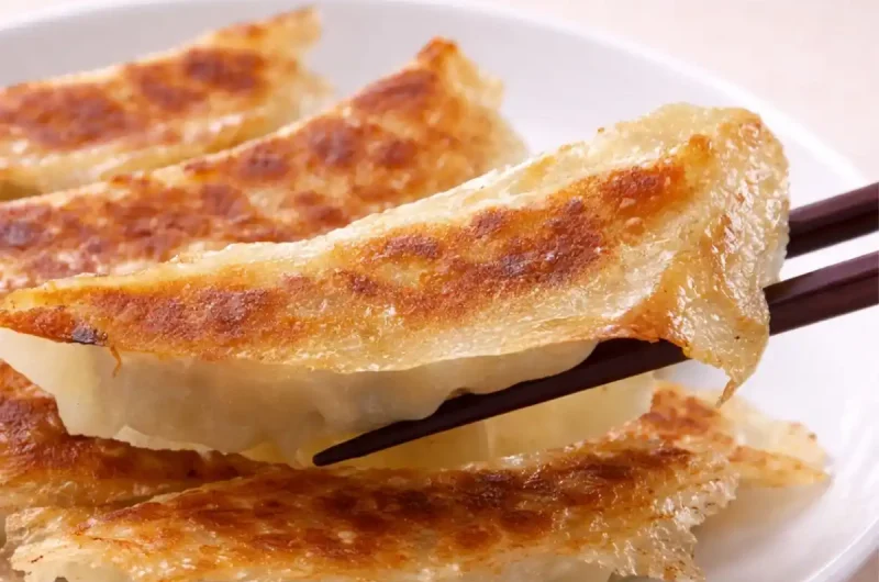 【相葉マナブ】羽根付き白菜餃子のレシピ 旬の産地ごはん白菜