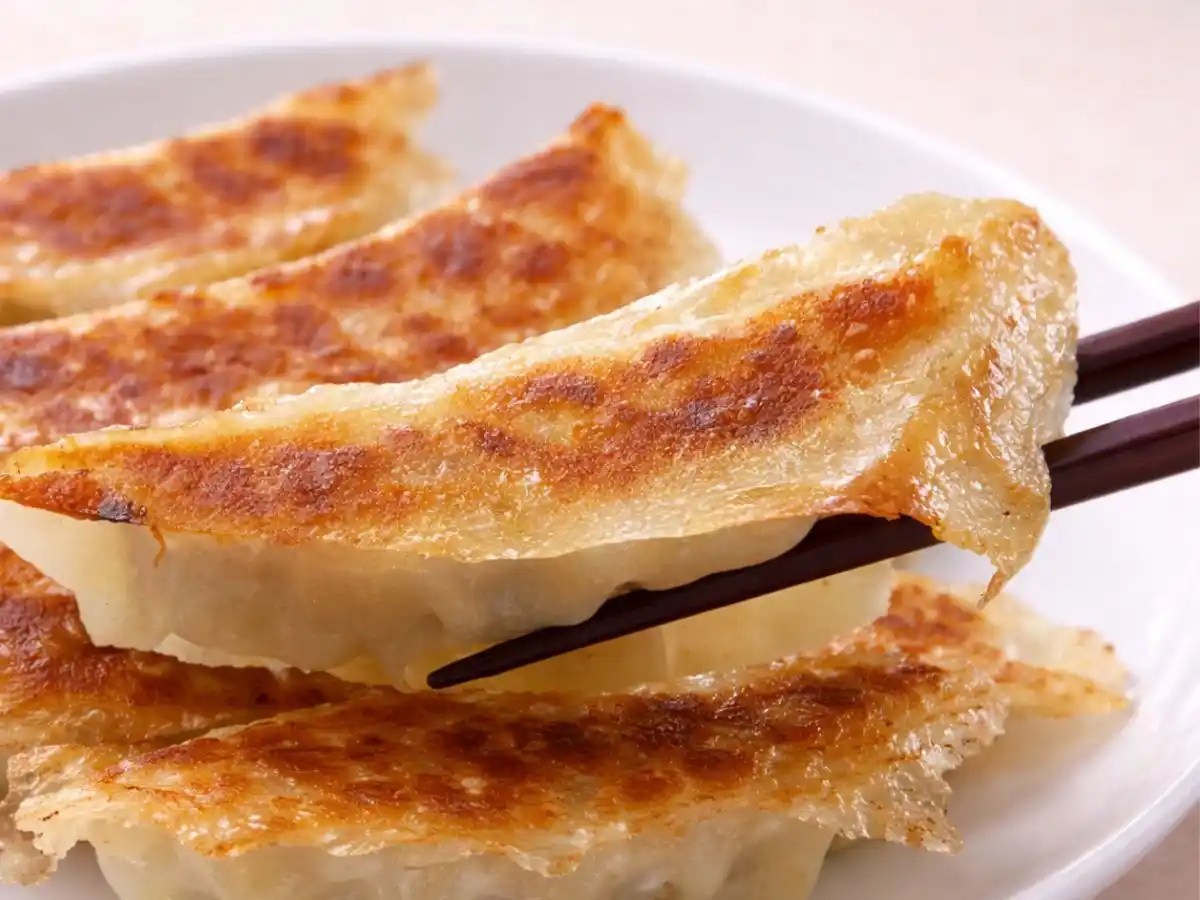 羽根付き白菜餃子