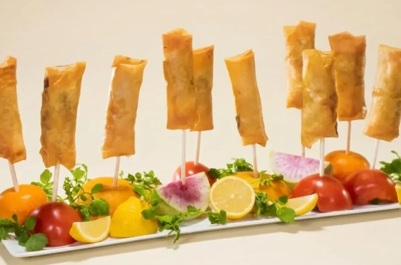 【モニタリング】チーズいっぱいタコス春巻きのレシピ 平野レミさん