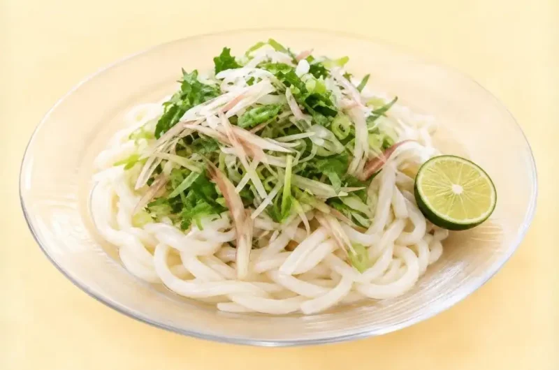 【相葉マナブ】薬味たっぷり冷やしうどんのレシピ 日本橋ゆかり野永シェフに学ぶ薬味料理