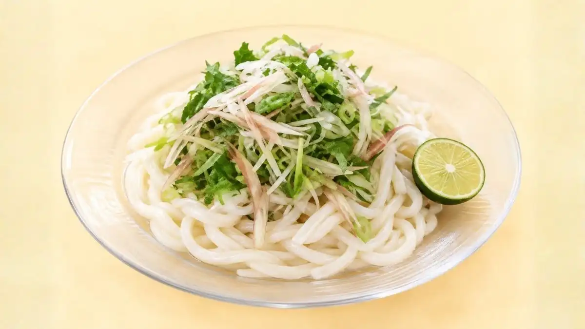 薬味たっぷり冷やしうどん